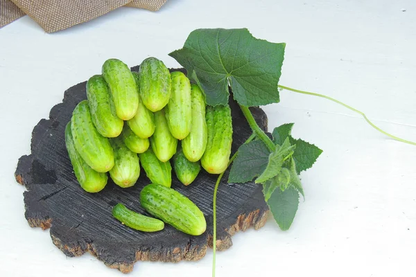 Pepinos em uma tábua de madeira — Fotografia de Stock