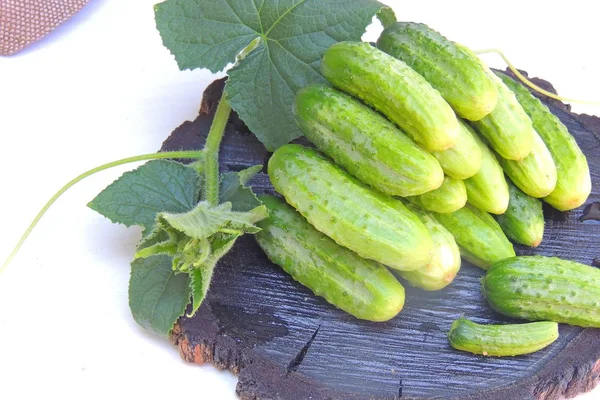 Cucumbers on a wooden board — Stock Photo, Image