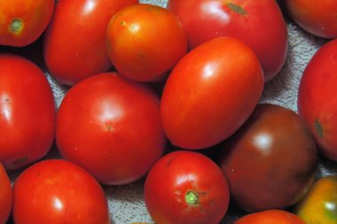kırmızı ve sarı domatesler