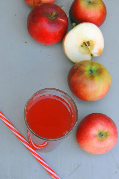 Apfelkompott und Äpfel — Stockfoto