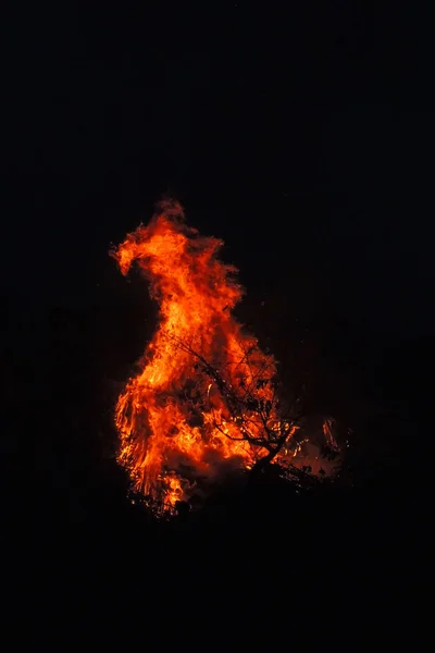 焚き火が燃える夜 — ストック写真