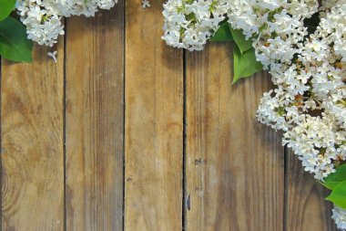 Küçük leylak çiçekleri ve yeşil yapraklardan oluşan yapısal fotofon.