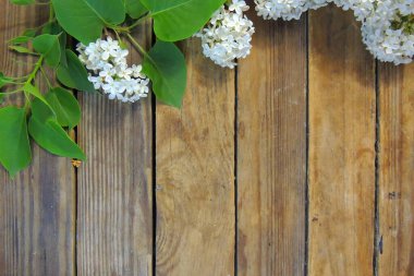 Küçük leylak çiçekleri ve yeşil yapraklardan oluşan yapısal fotofon.