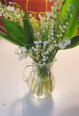 Vadi Lilly 'si vazoda, ahşap masada.