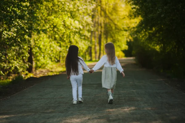 Due Bambine Bianco Passeggiano Mano Sulla Strada Del Parco Estate — Foto Stock