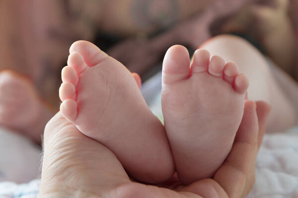 Две ноги ребенка в руках взрослого родителя
