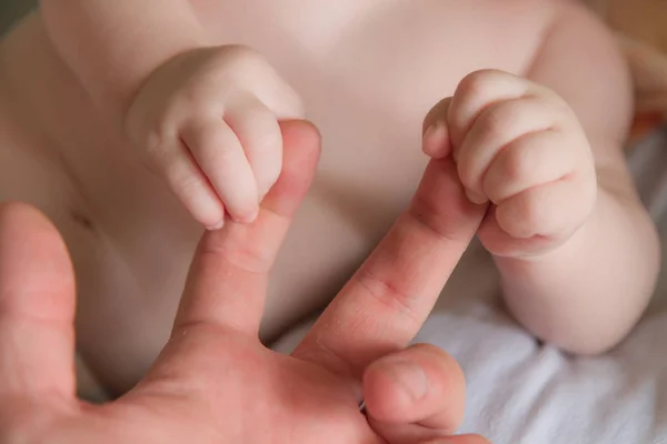 Manejar bebés mantener los dedos padres adultos y encoger Imagen De Stock