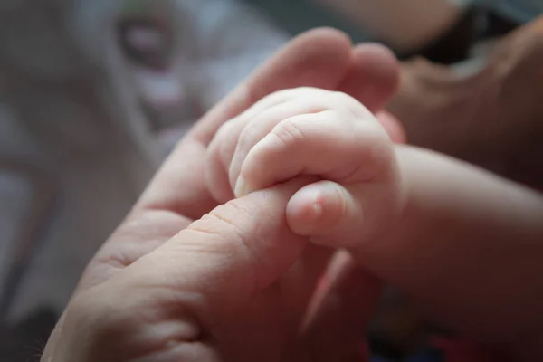 Criança criança segurando dedo aperto adulto pai Fotos De Bancos De Imagens Sem Royalties