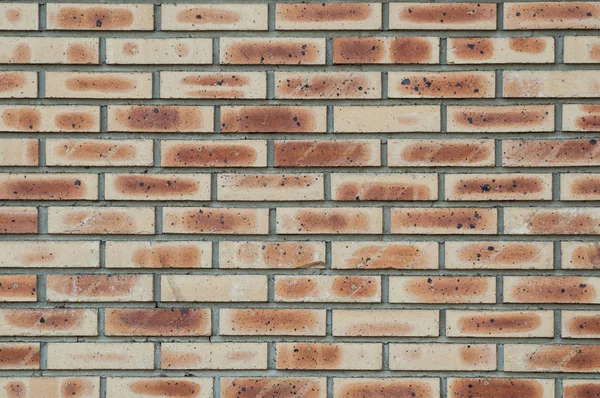 Zbliżenie Brick Wall Texture — Zdjęcie stockowe