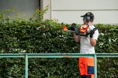 Mulhouse - Fransa - 6 Haziran 2018 - profesyonel bahçıvan hedge düzeltici onun elinde tutan