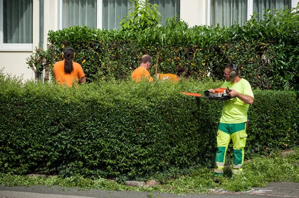 Μιλούζ Γαλλία Ιουνίου 2018 Ομάδα Επαγγελματικός Κηπουρός Κρατά Κλαδευτήρι Στα — Φωτογραφία Αρχείου