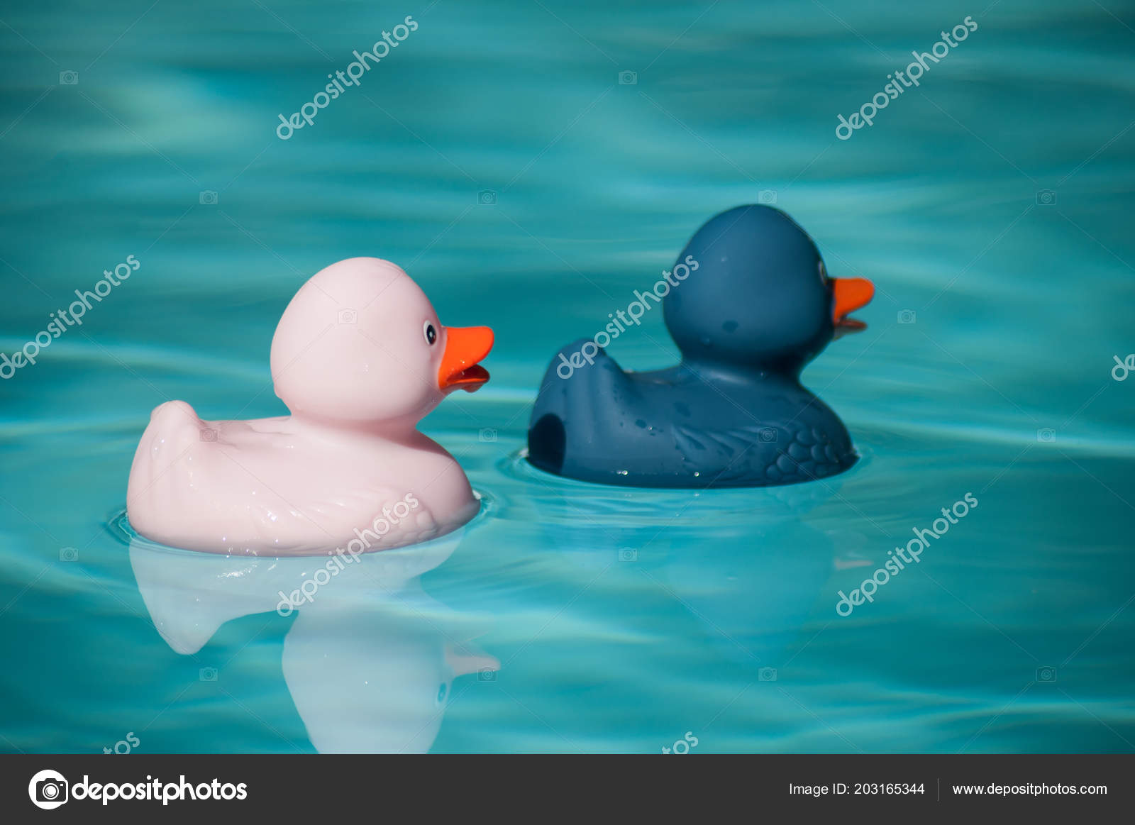 pink and blue rubber ducks
