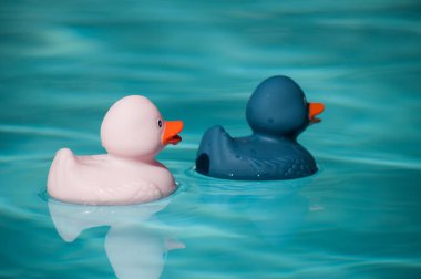 pembe ve mavi lastik ördek oyuncak yüzme havuzunda bir closeup 