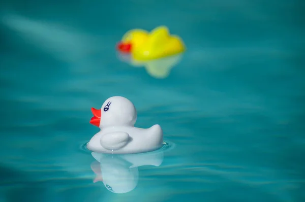 Nahaufnahme Eines Blau Weißen Und Gelben Gummienten Spielzeugs Schwimmbad — Stockfoto