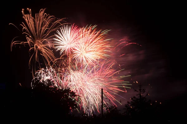 Vendita Dettaglio Fuochi Artificio Colorati Tra Sagome Degli Alberi — Foto Stock