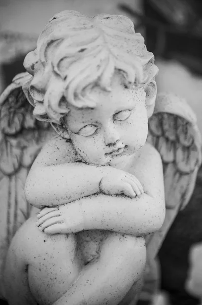 Closeup Stoned Angel Tomb Cemetery — Stock Photo, Image