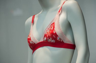 manken Asya kırmızı iç çamaşırı kadın moda closeup depolamak