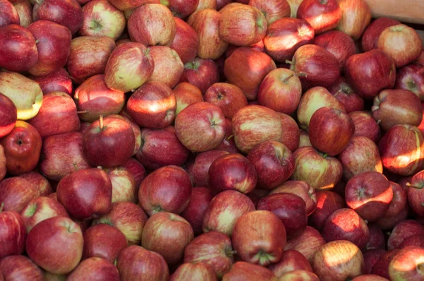 Closeup Fresh Organic Red Apples Market — Stock Photo, Image