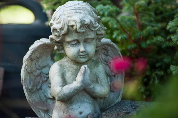 Detailní Záběr Zhuleného Anděla Hrobce Hřbitově — Stock fotografie