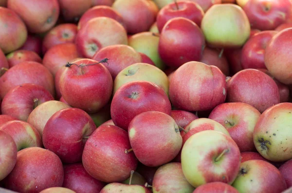 Closeup Red Apples Stack Market — Stock Photo, Image