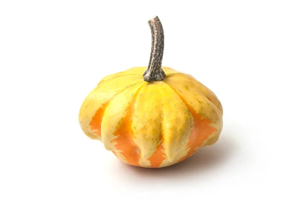 Closeup Yellow Gourd Halloween Decoration White Background — Stock Photo, Image