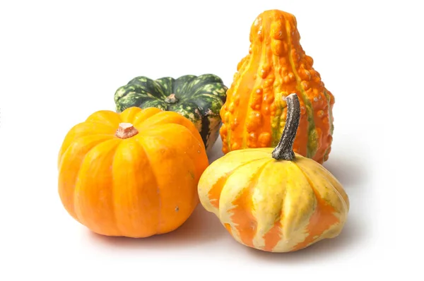 Närbild Färgglada Kalebasser För Halloween Dekoration Vit Bakgrund — Stockfoto
