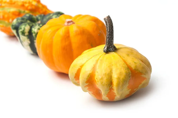 Närbild Färgglada Kalebasser För Halloween Dekoration Vit Bakgrund — Stockfoto