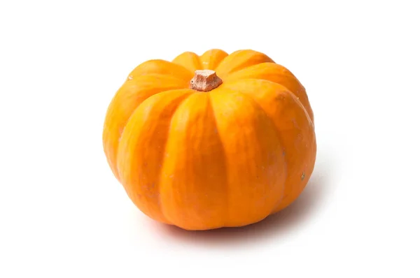 Closeup Orange Gourd Halloween Decoration White Background — Stock Photo, Image