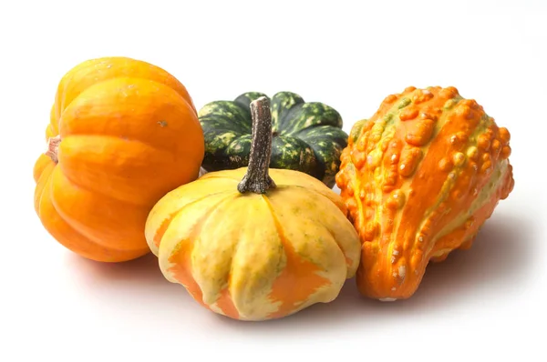 Closeup Colorful Gourds Halloween Decoration White Background — Stock Photo, Image