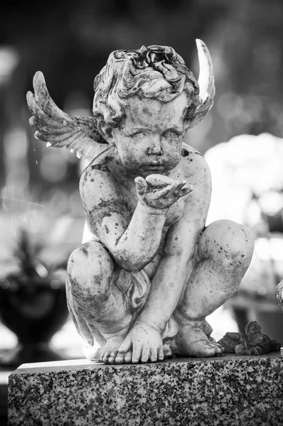 墓地で墓の石の天使のクローズ アップ — ストック写真