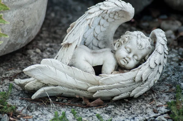 Closeup Sjetý Angel Hrob Hřbitově — Stock fotografie