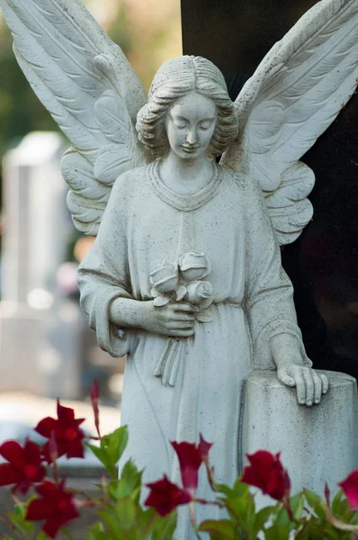 묘지에 무덤에 천사의 — 스톡 사진