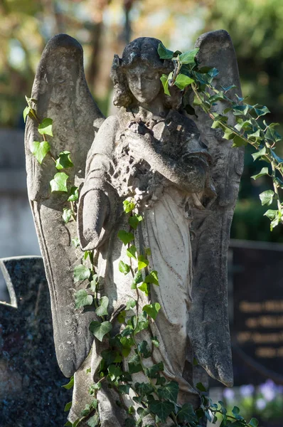 Nahaufnahme Eines Bekifften Engels Mit Efeublättern Grab Auf Dem Friedhof — Stockfoto