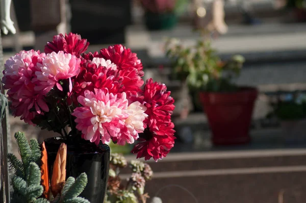 Closeup Chryzantémy Červené Vztazích Hrob Hřbitově — Stock fotografie
