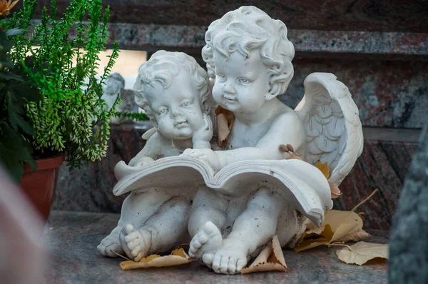 Nahaufnahme Zweier Bekiffter Engel Auf Grab Auf Friedhof — Stockfoto