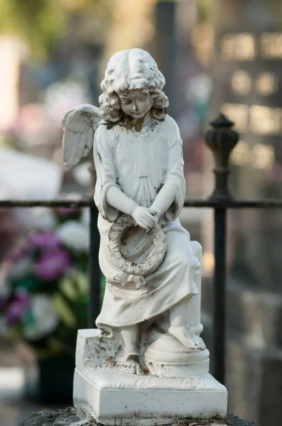 Closeup Stoned Angel Praying Tomb Cemetery — Stock Photo, Image