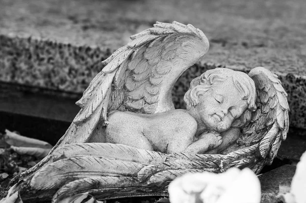 Closeup Sjetý Anděl Spící Hrob Hřbitově — Stock fotografie