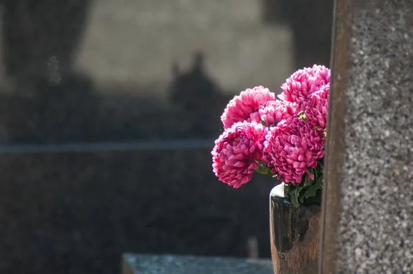 Closeup Του Ροζ Τεχνητά Λουλούδια Στον Τάφο Στο Νεκροταφείο — Φωτογραφία Αρχείου