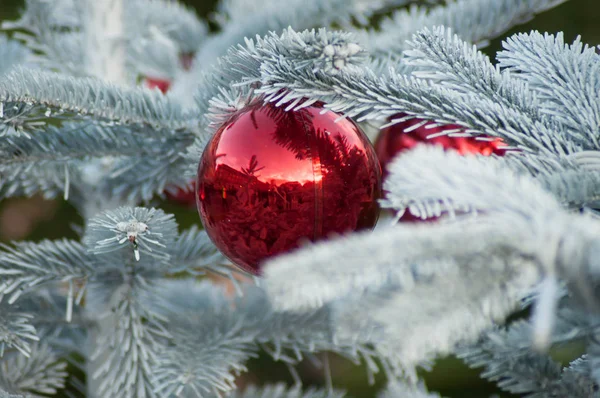 通りで雪に覆われたクリスマス ツリーの赤いボールのクローズ アップ — ストック写真