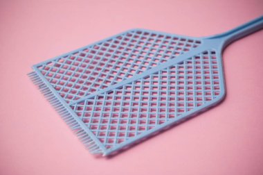 pembe bir arka plan üzerinde mavi sinek sineklik closeup