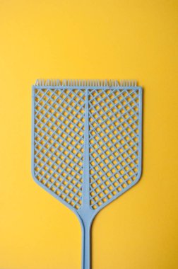 sarı zemin üzerine mavi sinek sineklik closeup