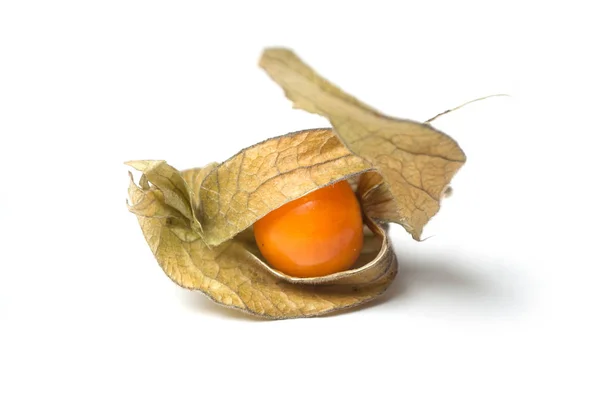 Fechar Bagas Physalis Secas Fundo Branco — Fotografia de Stock