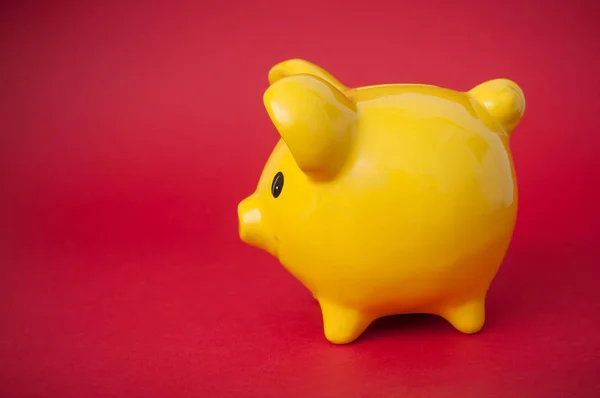 closeup of yellow piggy bank on red background