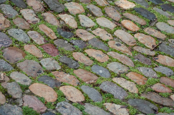 Closeup Moss Cobblestone Pavement Texture — Stock Photo, Image