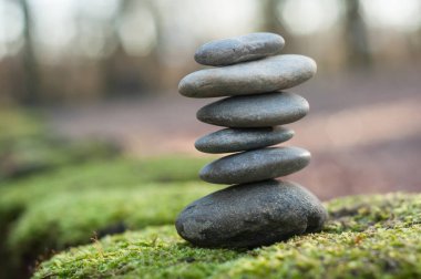 Moss ormandaki taş denge closeup 