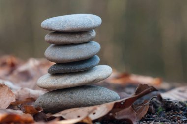 Ormandaki sonbahar yaprakları üzerinde taş denge closeup 