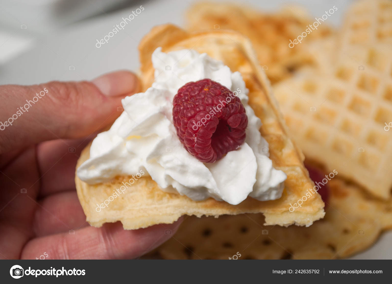 Manteniendo Delicioso Postre Con Crema Batida Y Cerezo Foto De Stock C Neydtstock Manteniendo Delicioso Postre Con Crema Batida Y Cerezo Foto De Stock C Neydtstock