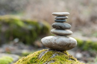 Moss ormandaki kaplı kayada taş denge closeup