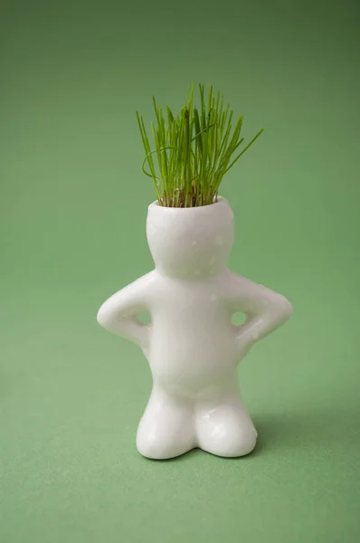 Closeup Potenciômetro Branco Homem Dado Forma Com Grama Sua Cabeça — Fotografia de Stock