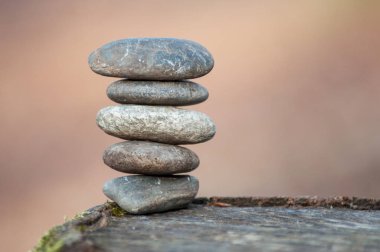 Closeup taş ağaç kütüğü ormanın içinde dengede 